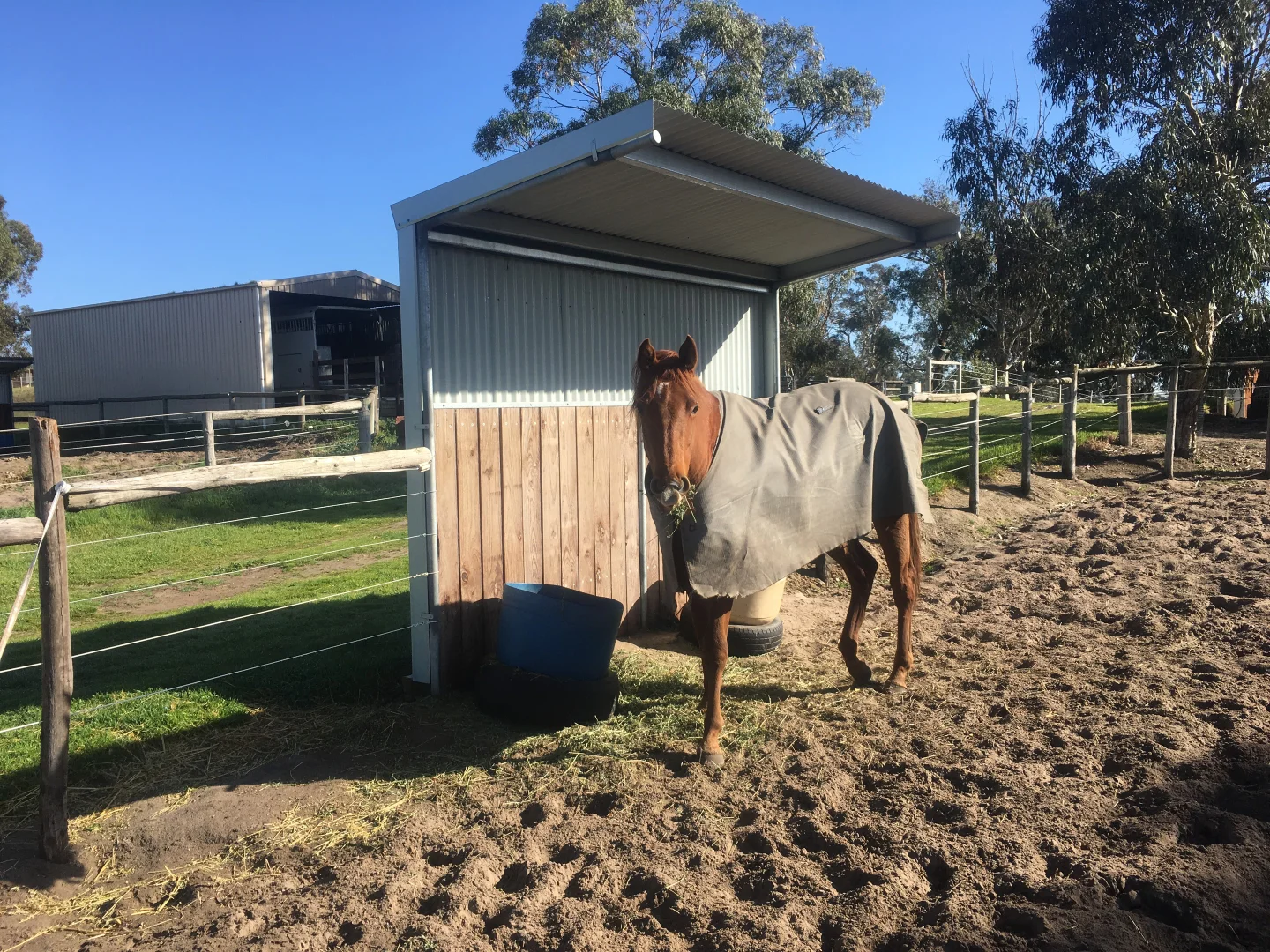 Additional image 6 of 2773 Naracoorte Road, Bordertown SA 5268