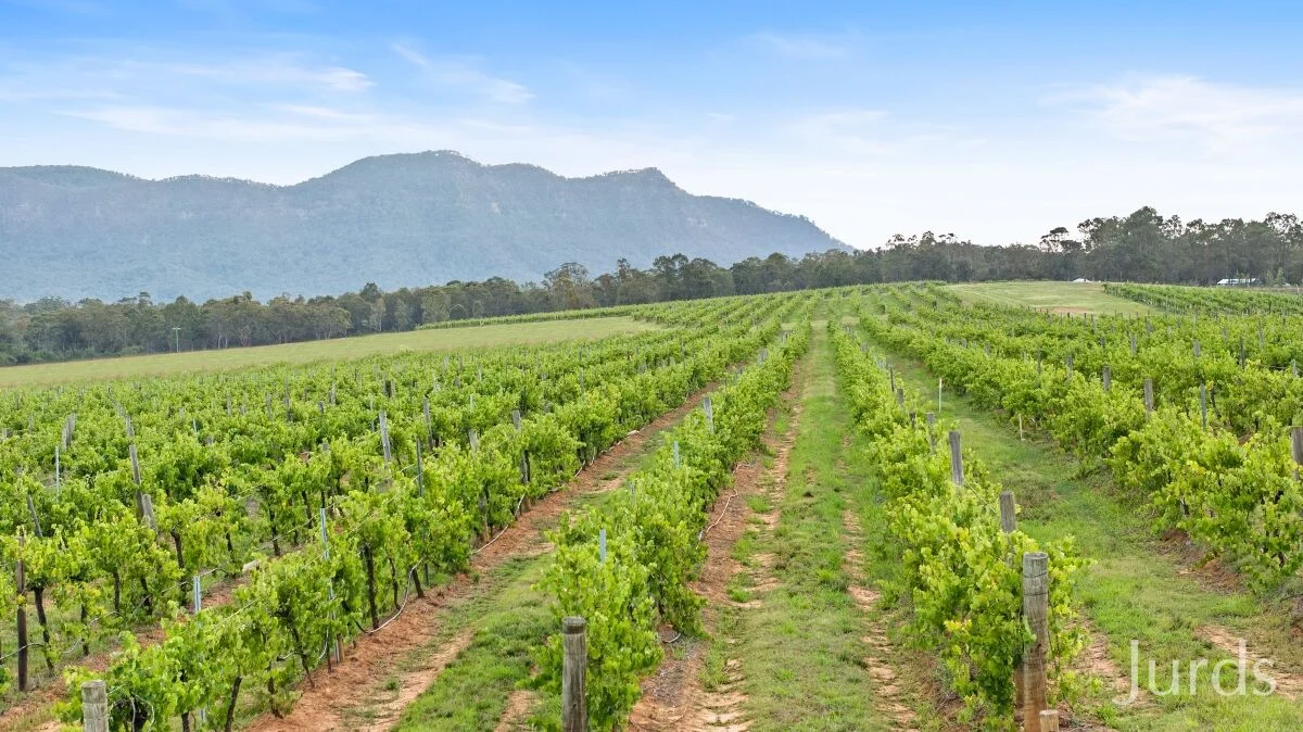 Additional image 3 of 861 & 913 Hermitage Road, Pokolbin NSW 2320