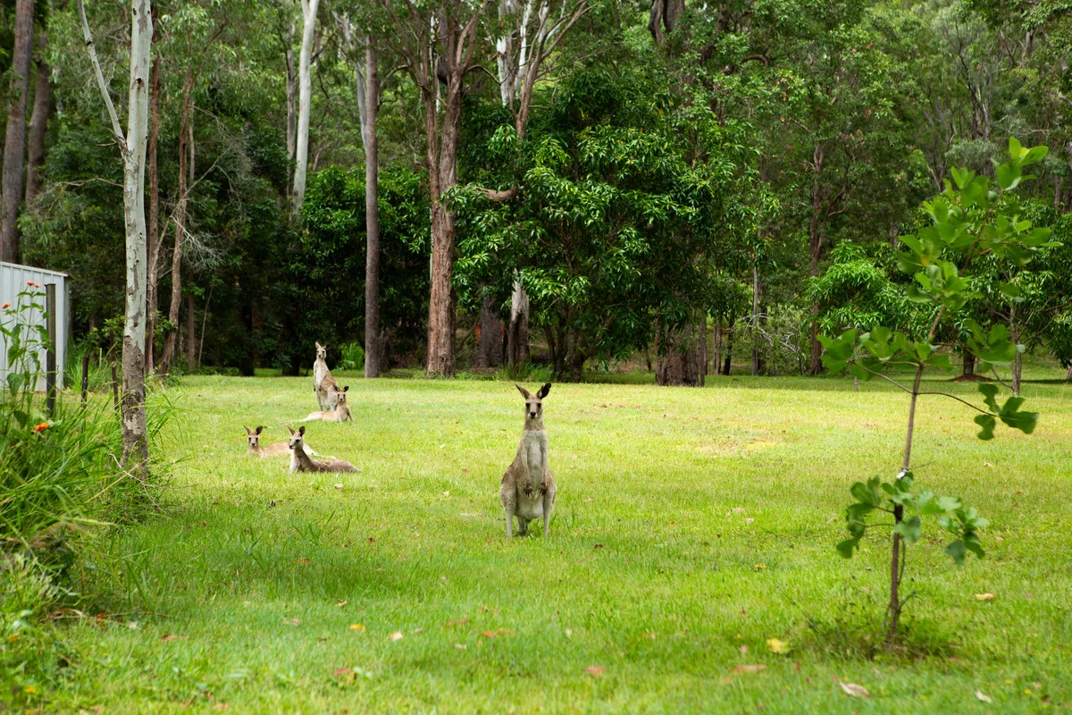 45 Greys Lane, Ravenshoe QLD 4888