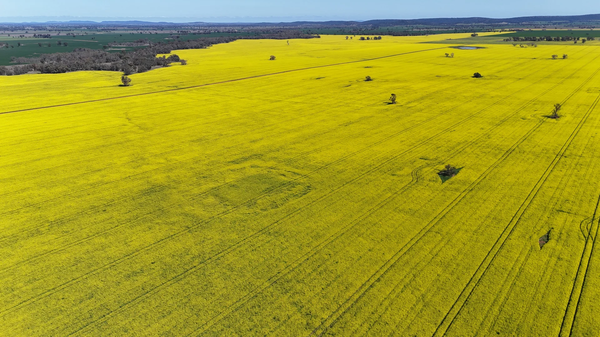 Additional image 5 of 2459 The Bogan Way, Parkes NSW 2870