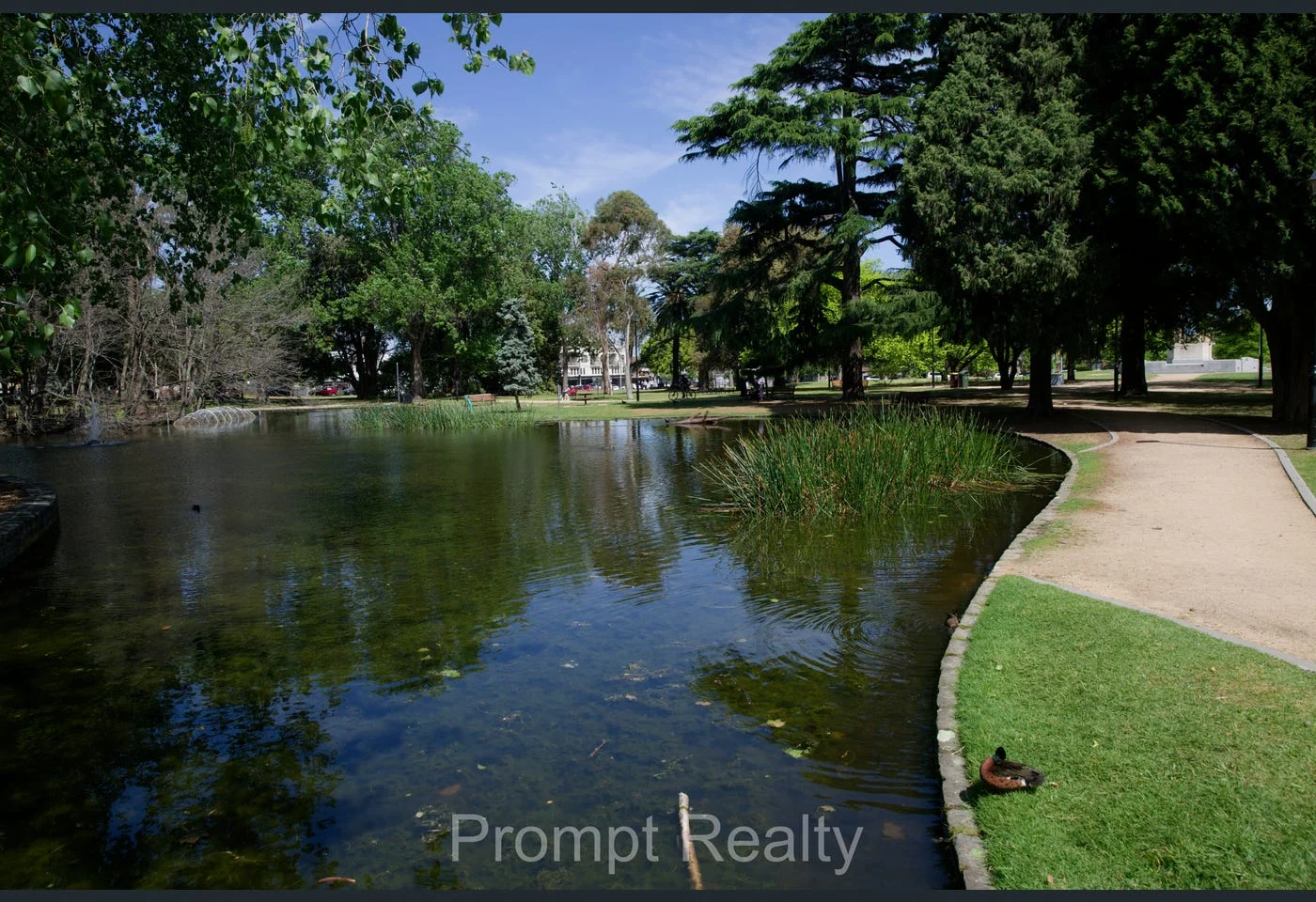 Additional image 8 of 5/694 Inkerman Road, Caulfield North VIC 3161