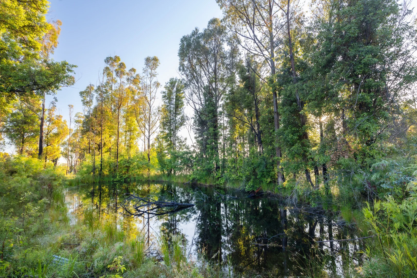 Additional image 17 of 8 Old Coach Road, Termeil NSW 2539