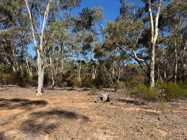 Additional image 11 of 69A Ainsworth Road, Wedderburn VIC 3518