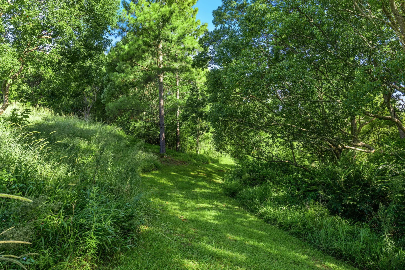 Additional image 28 of 111 Fowlers Lane, Bangalow NSW 2479