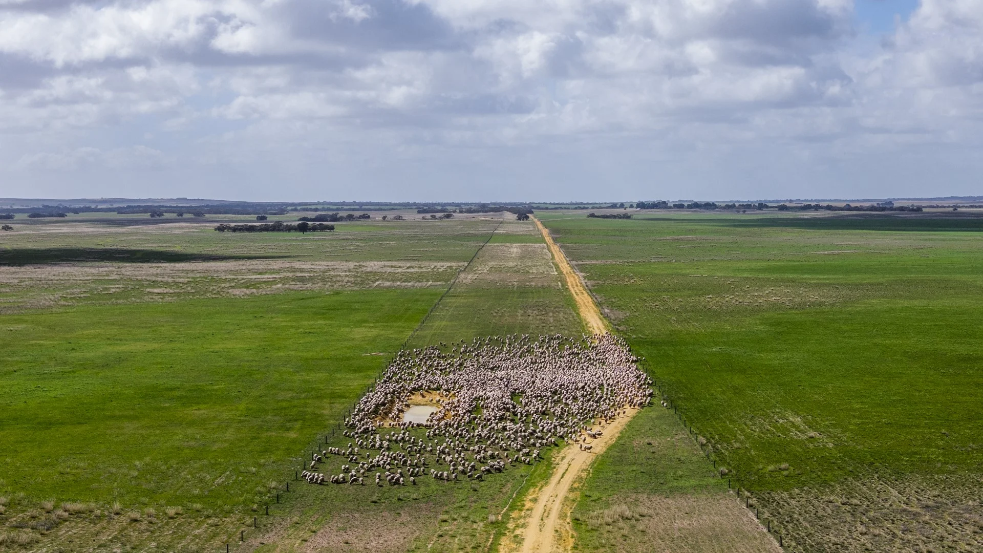 Additional image 8 of 1579 Chappel Road, Telopea Downs VIC 3420