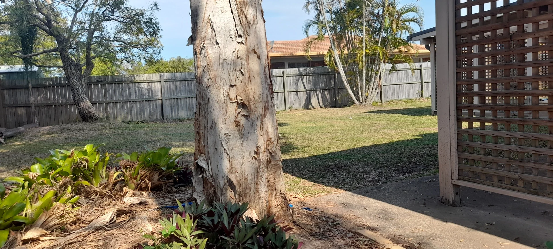 Additional image 14 of 26 Lorebury Drive, Morayfield QLD 4506