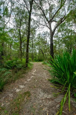 Additional image 29 of 25 Goldsmith Road, Somersby NSW 2250