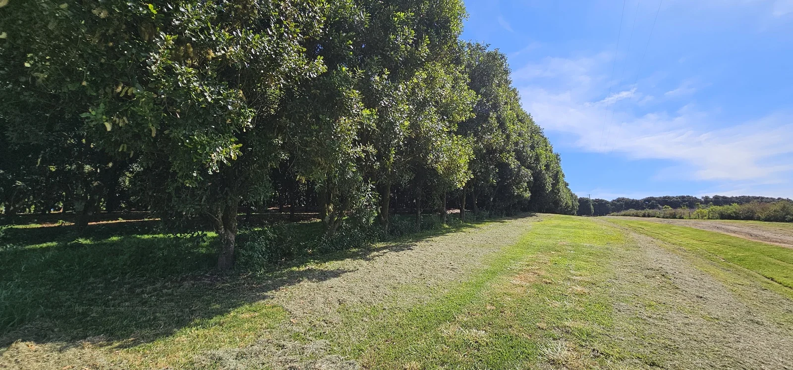 Additional image 20 of Tregeagle NSW 2480