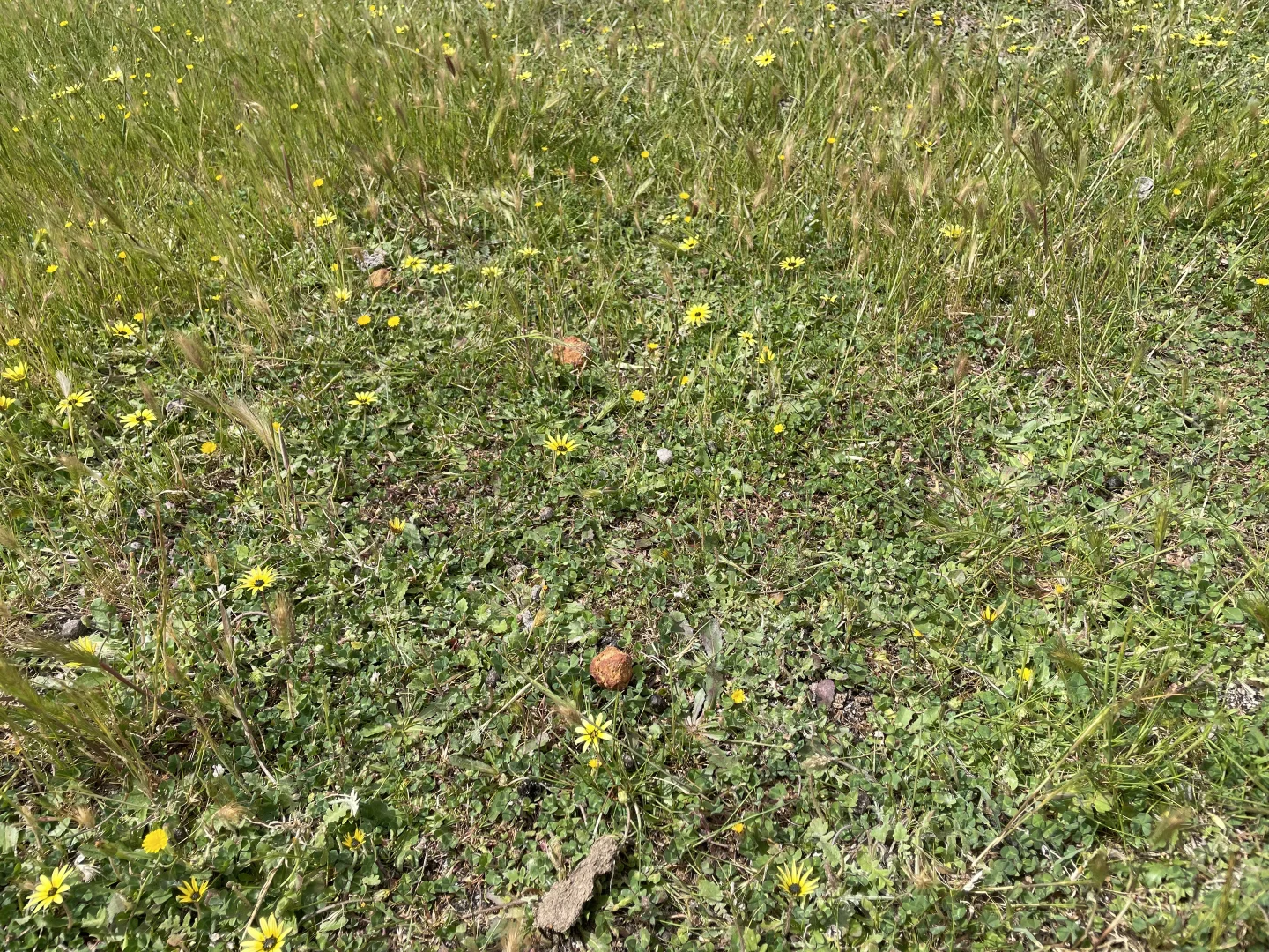 Additional image 12 of Lot 100 First North Road, Kadathinni WA 6519