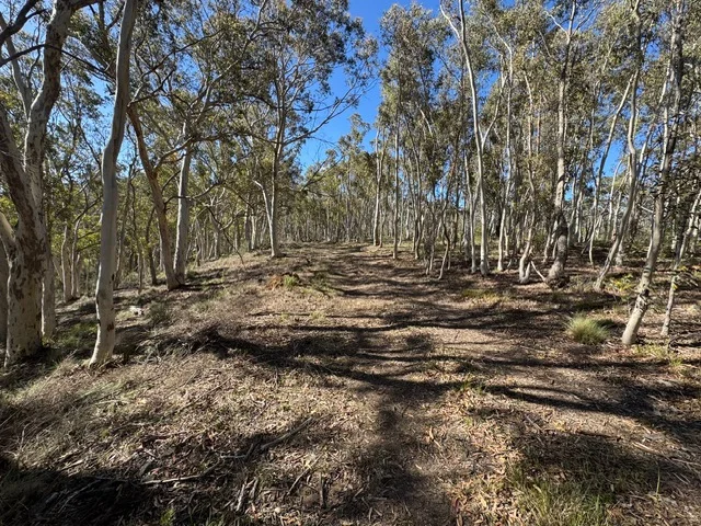 Additional image 7 of 671 Towrang Road, Towrang NSW 2580