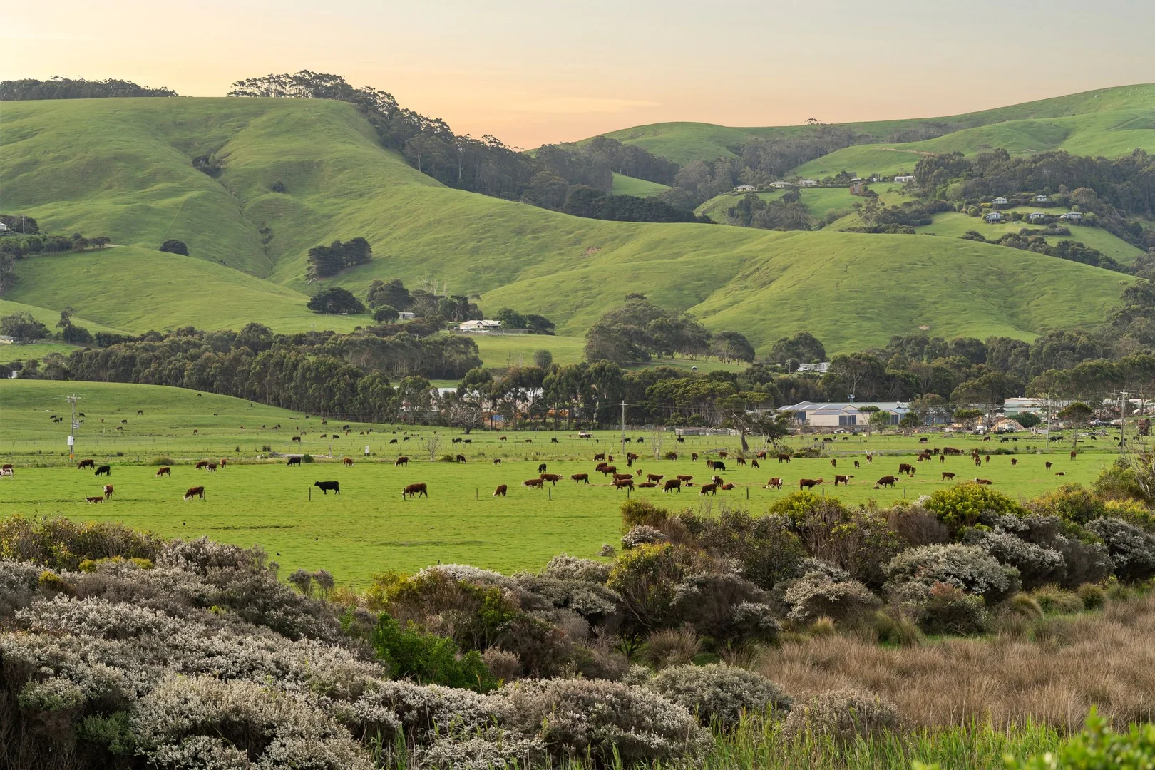Additional image 9 of 80 Great Ocean Road, Apollo Bay VIC 3233