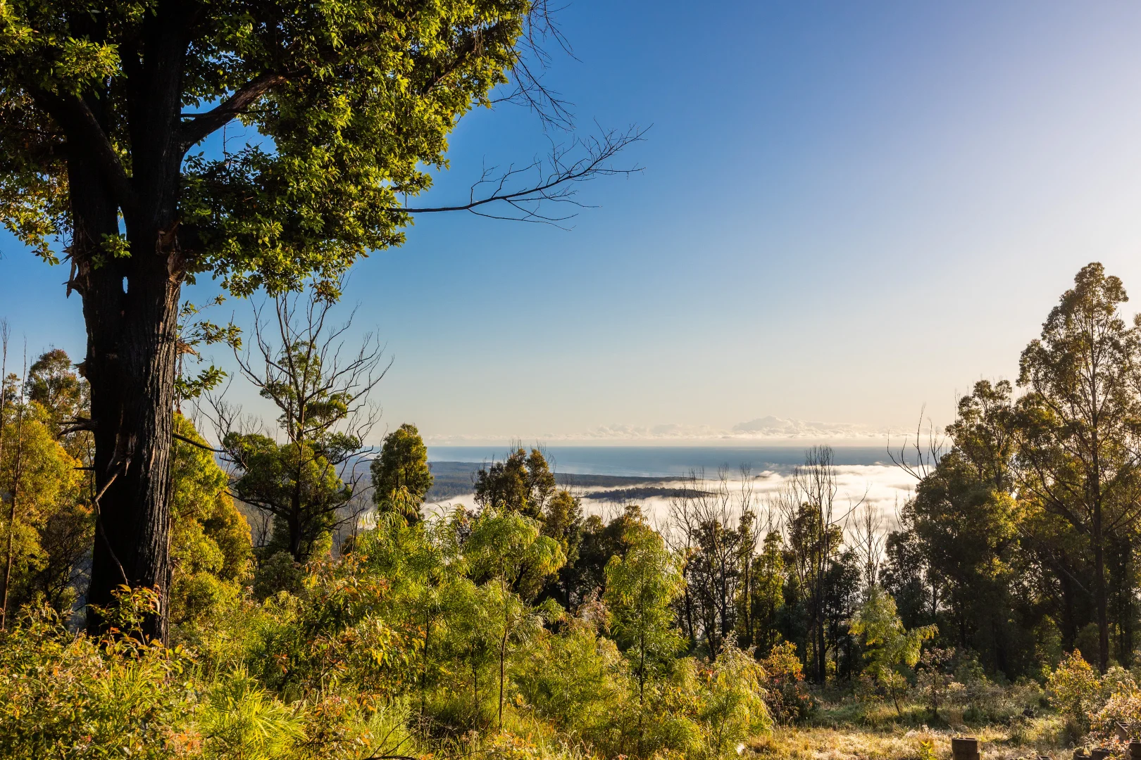 Additional image 14 of 8 Old Coach Road, Termeil NSW 2539