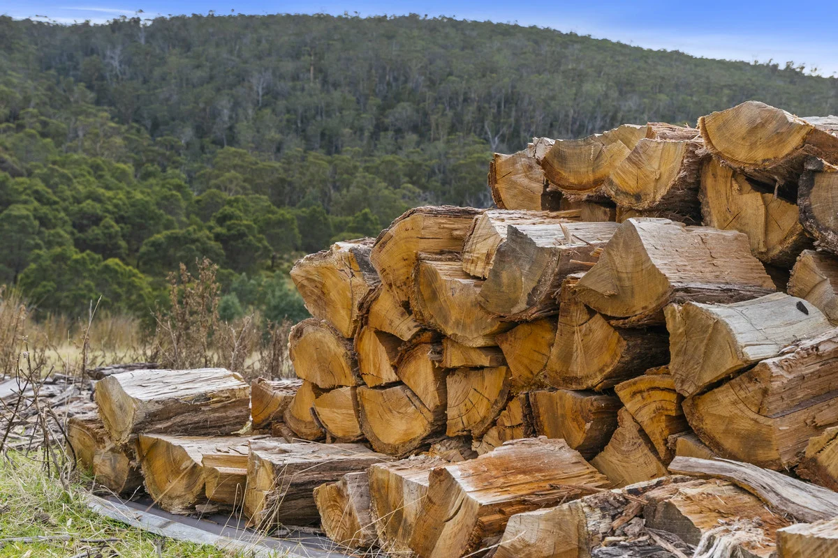 Additional image 6 of 1 & 2 Bresnehans Road, Little Swanport TAS 7190