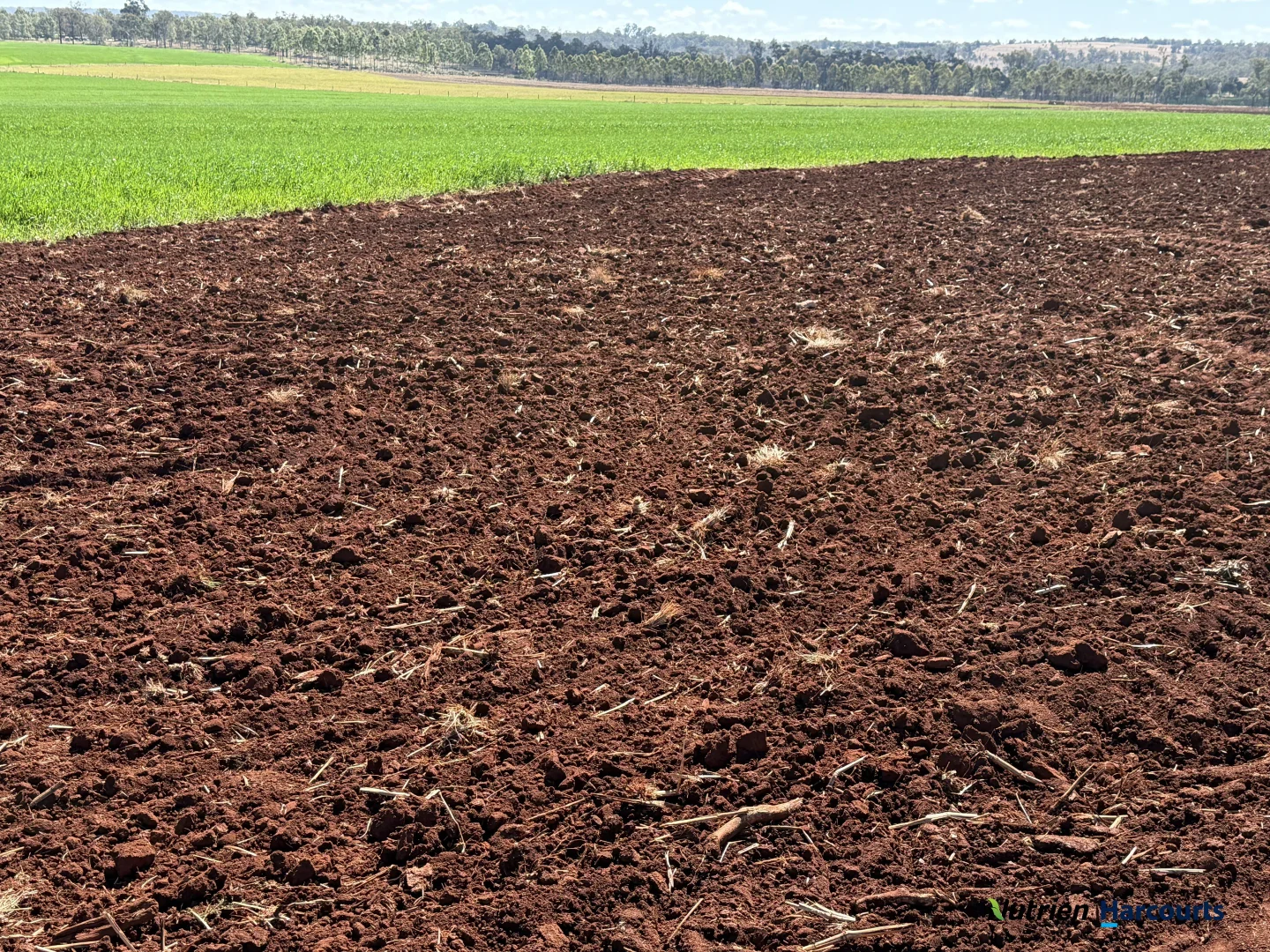 Additional image 20 of Lot 2 Reedy Creek Road, Benair QLD 4610