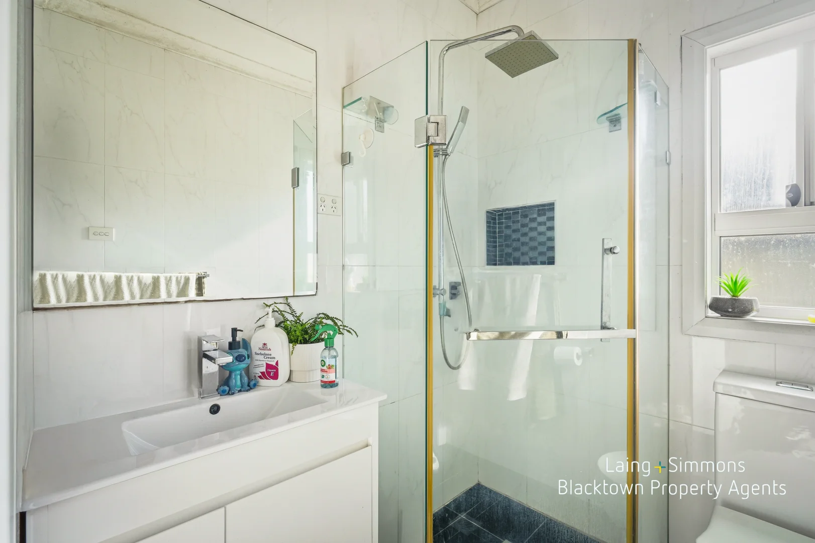 Additional image 9 of 38 Dagmar Crescent, Blacktown NSW 2148