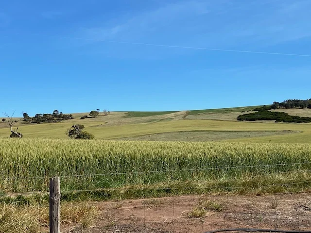 Additional image 27 of Lot 5 McAvaney Lane, Whites Flat SA 5607