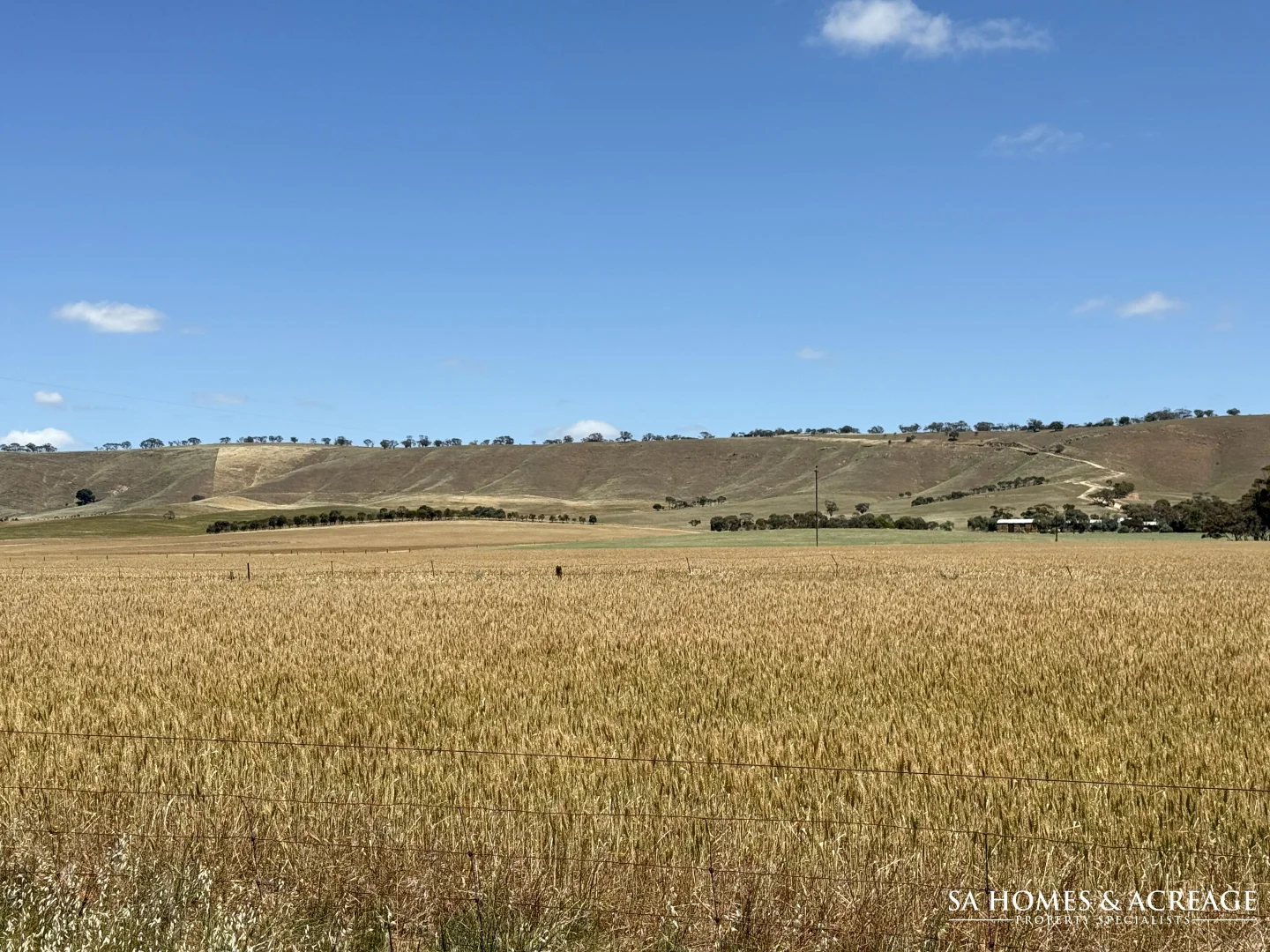 Additional image 2 of Section 407 & 408 Hills Road, Robertstown SA 5381