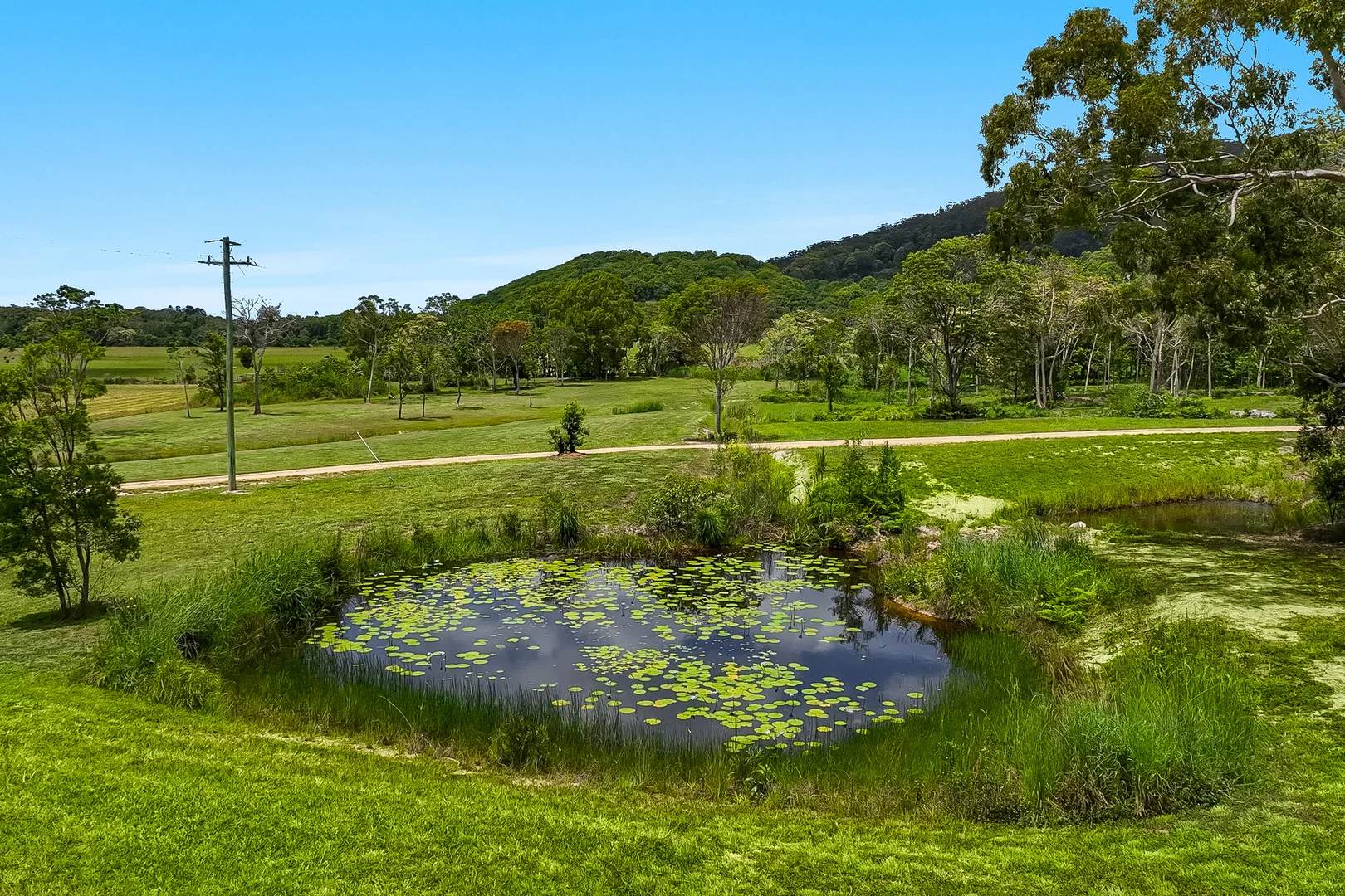 Additional image 6 of 110 Mcandrews Lane, Pimlico NSW 2478