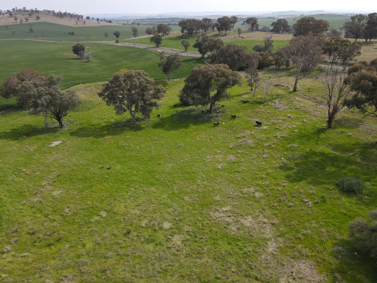 Additional image 20 of Woodstock NSW 2793