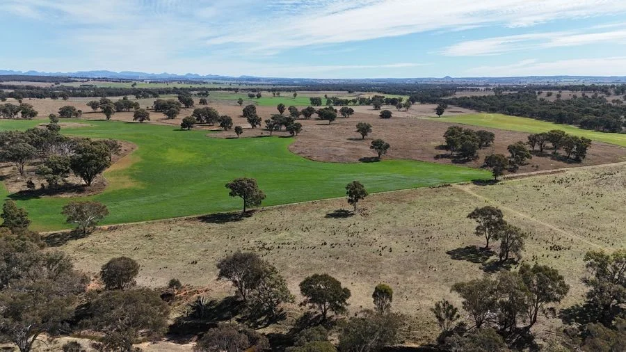 Additional image 2 of 176 Uphills lane Purlewaugh, Coonabarabran NSW 2357