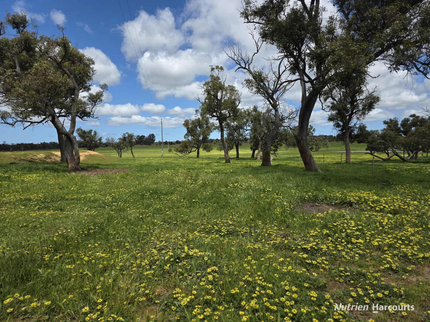 Additional image 35 of 1867 Chester Pass Road, Napier WA 6330