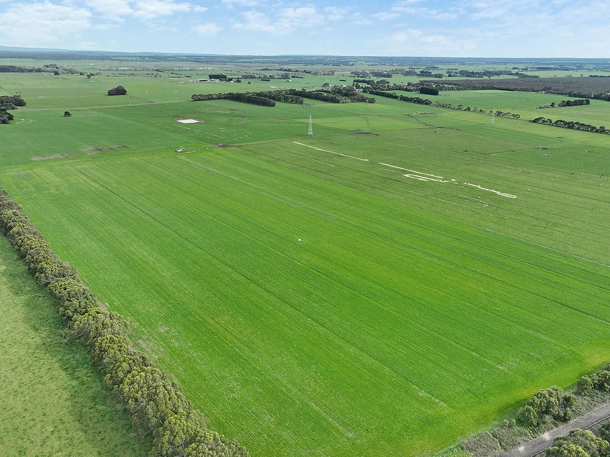 Additional image 16 of 570 Swan Marsh Road, Swan Marsh VIC 3249