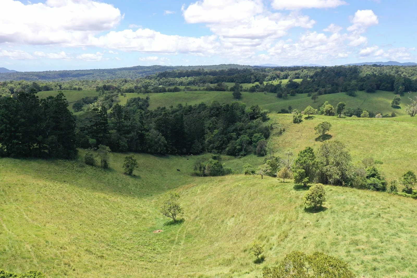 Additional image 13 of 780 MIDDLEBROOK ROAD, Millaa Millaa QLD 4886