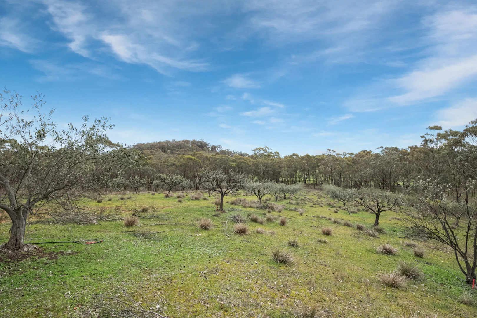 Additional image 16 of 156 Bradleys Lane, Heathcote VIC 3523
