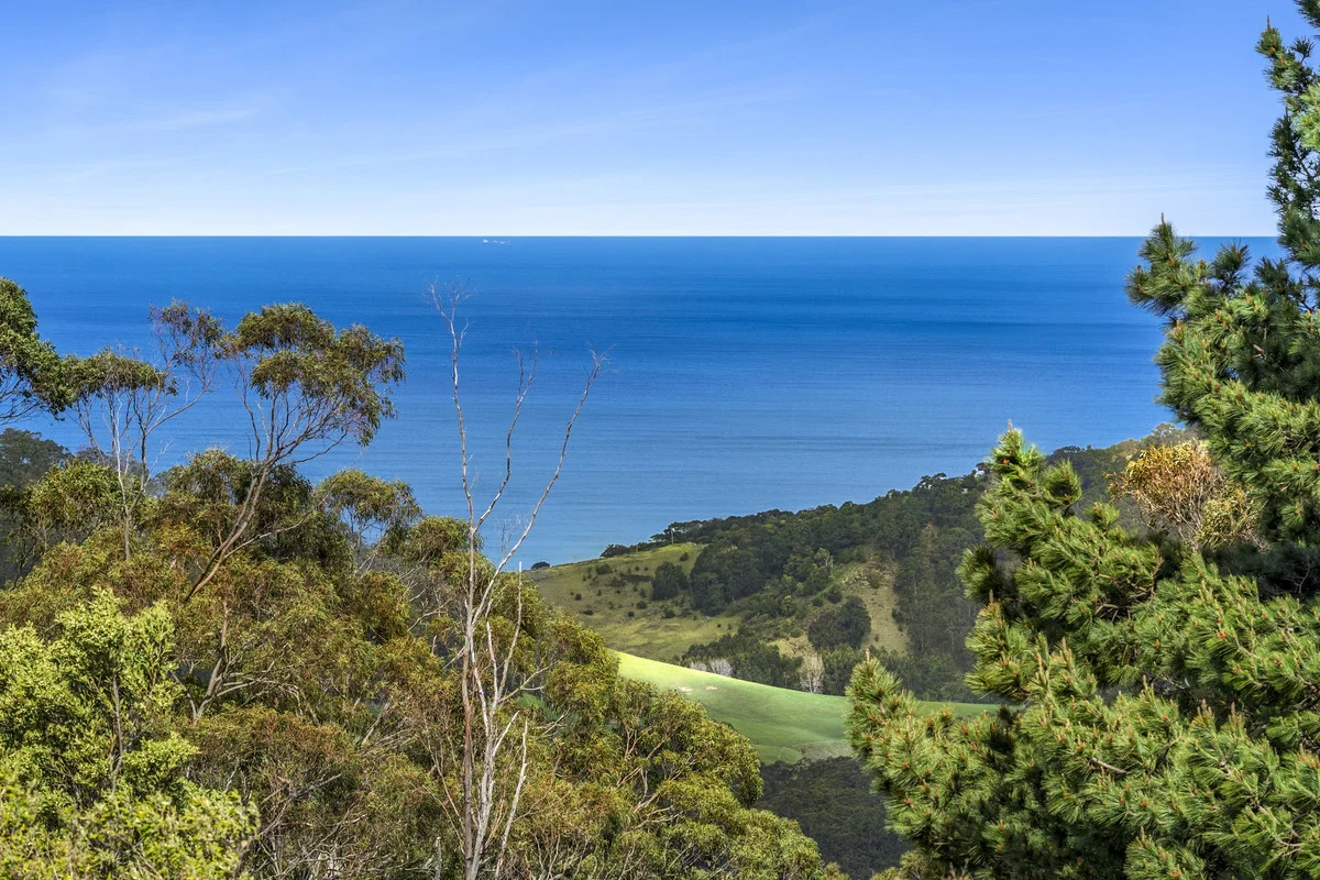 675 Skenes Creek Road, Skenes Creek North VIC 3233