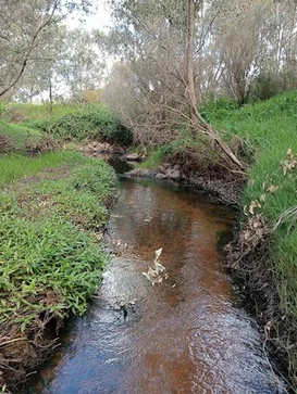 Additional image 6 of 6 Ellen Street, Brunswick WA 6224