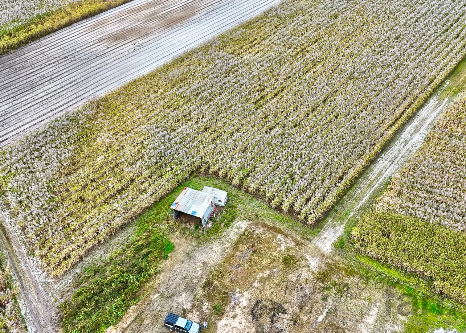 Additional image 3 of 1587 Stapylton Jacobs Well Road, Jacobs Well QLD 4208