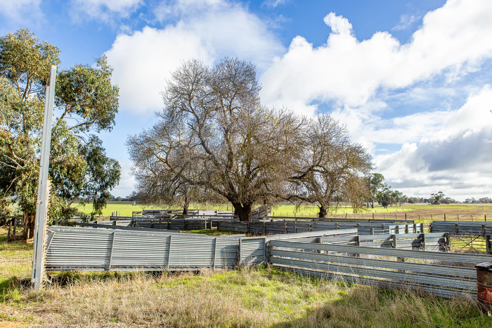 Additional image 12 of 1911 Cadgee Road, Naracoorte SA 5271