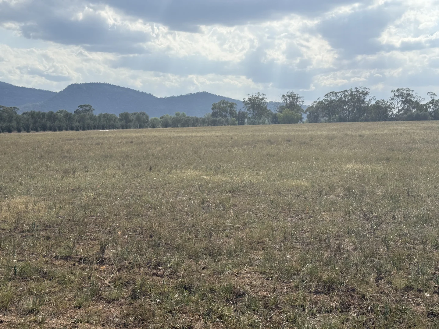 Additional image 43 of 207 Redmanvale Road, Jerrys Plains NSW 2330