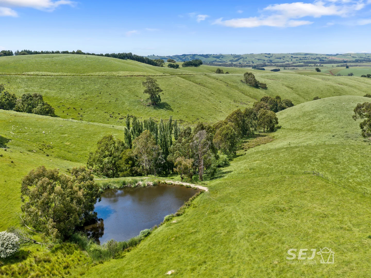 Additional image 18 of 1510 Meeniyan-Mirboo North Road, Dumbalk VIC 3956