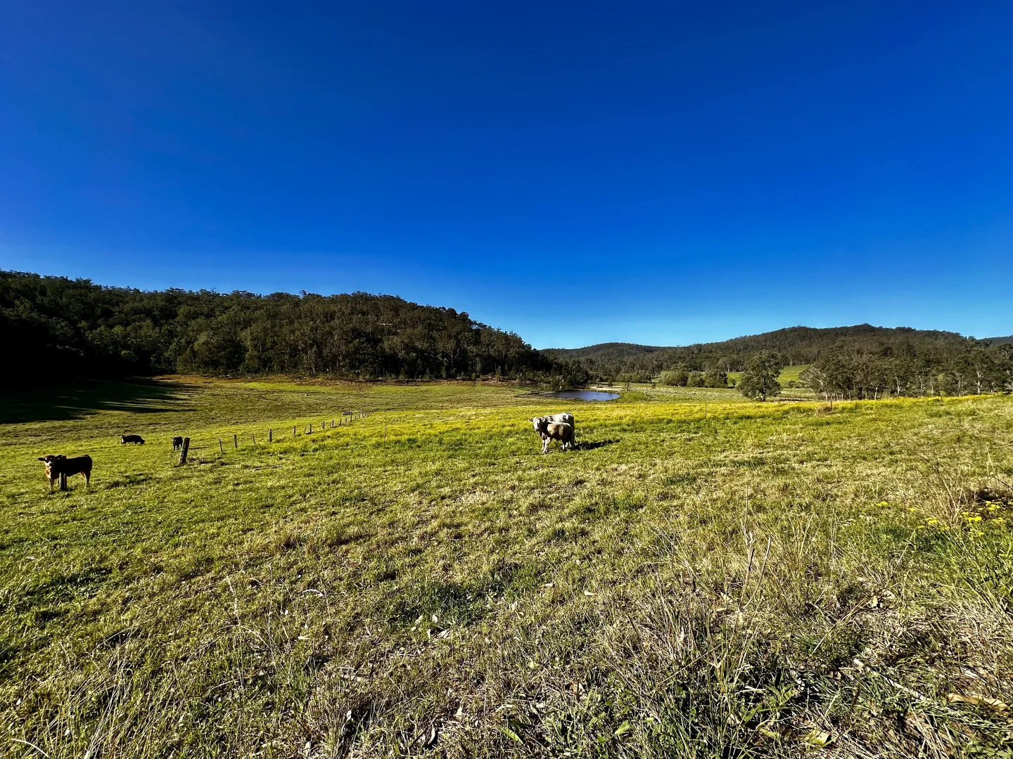 Additional image 7 of 3300 Great North Road, Wollombi NSW 2325