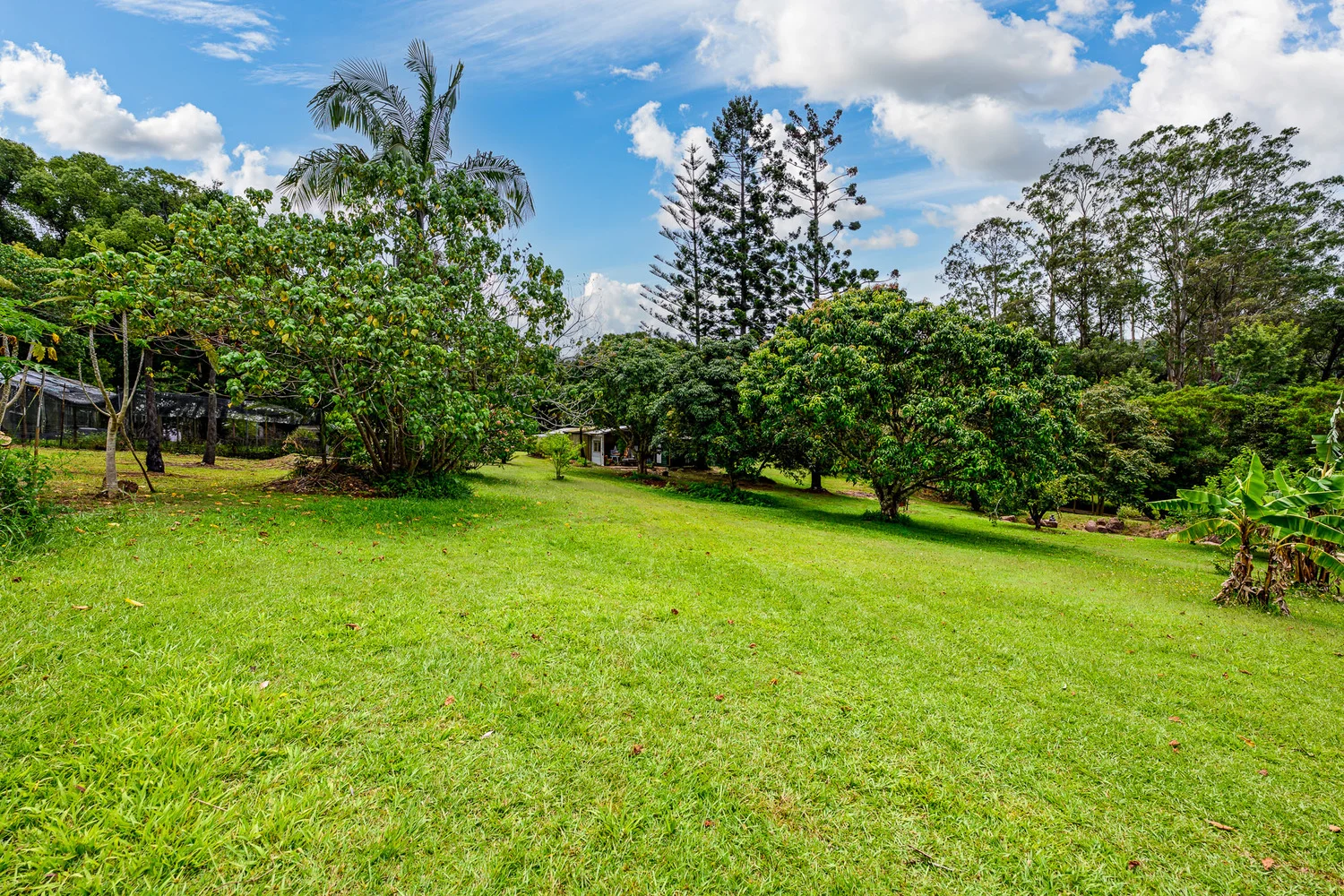 Additional image 38 of 86 Parmenters Road, Wilsons Creek NSW 2482