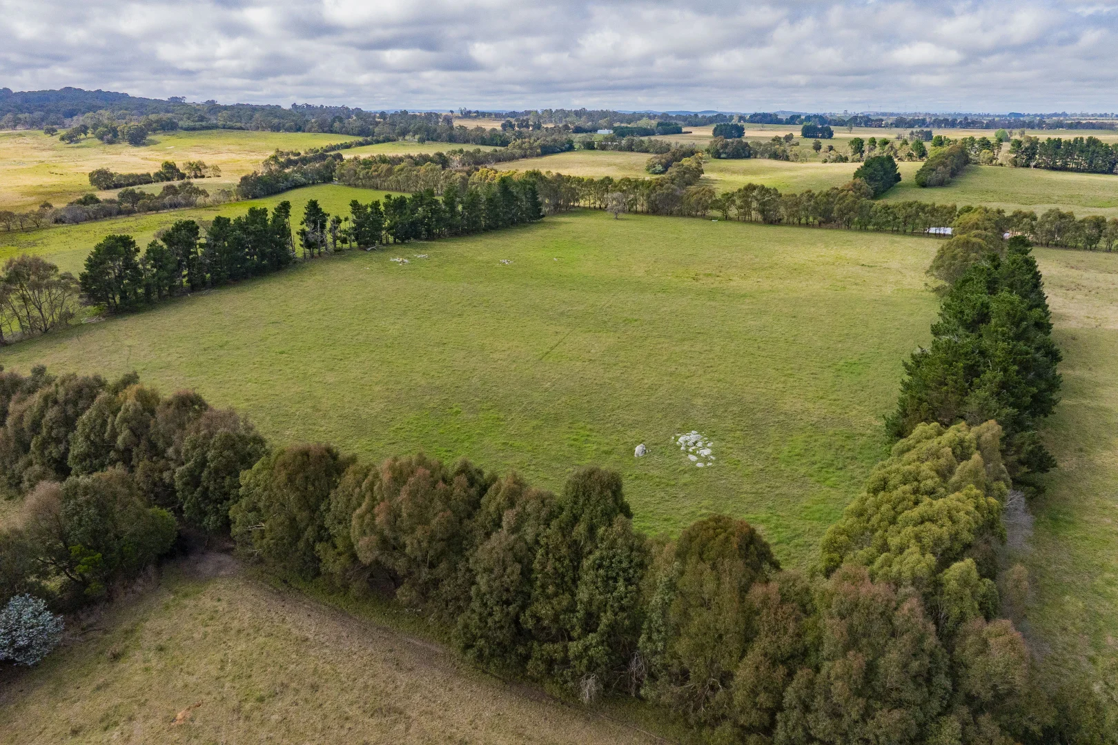 Additional image 4 of 251 Mount Rae Road, Roslyn NSW 2580