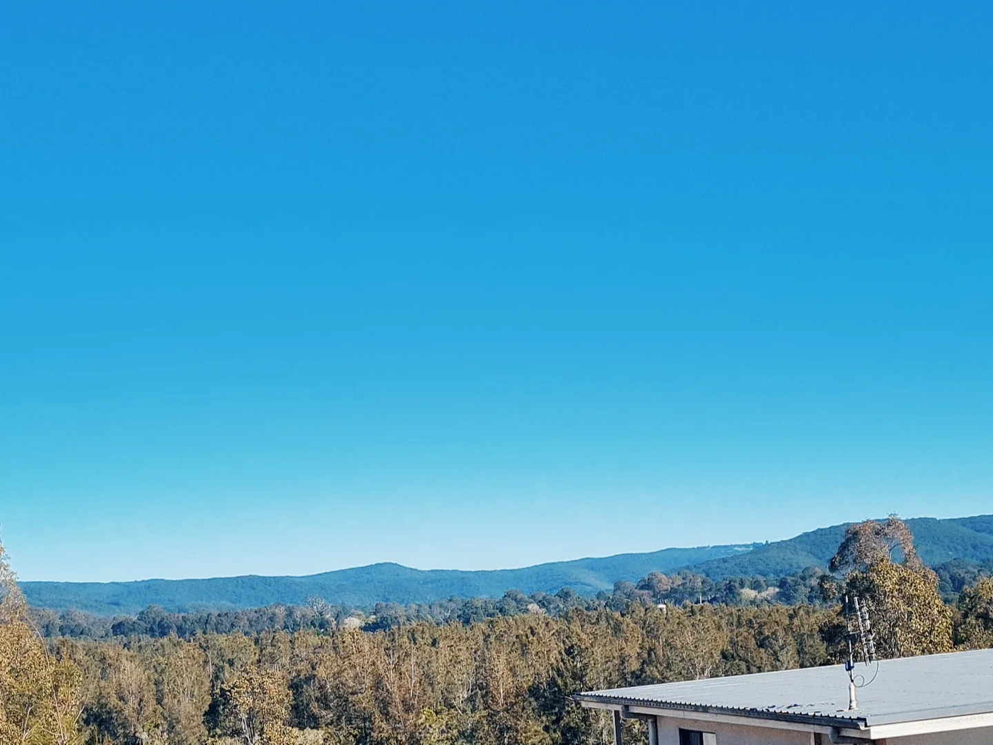 8 Weaver Crescent, Watanobbi NSW 2259