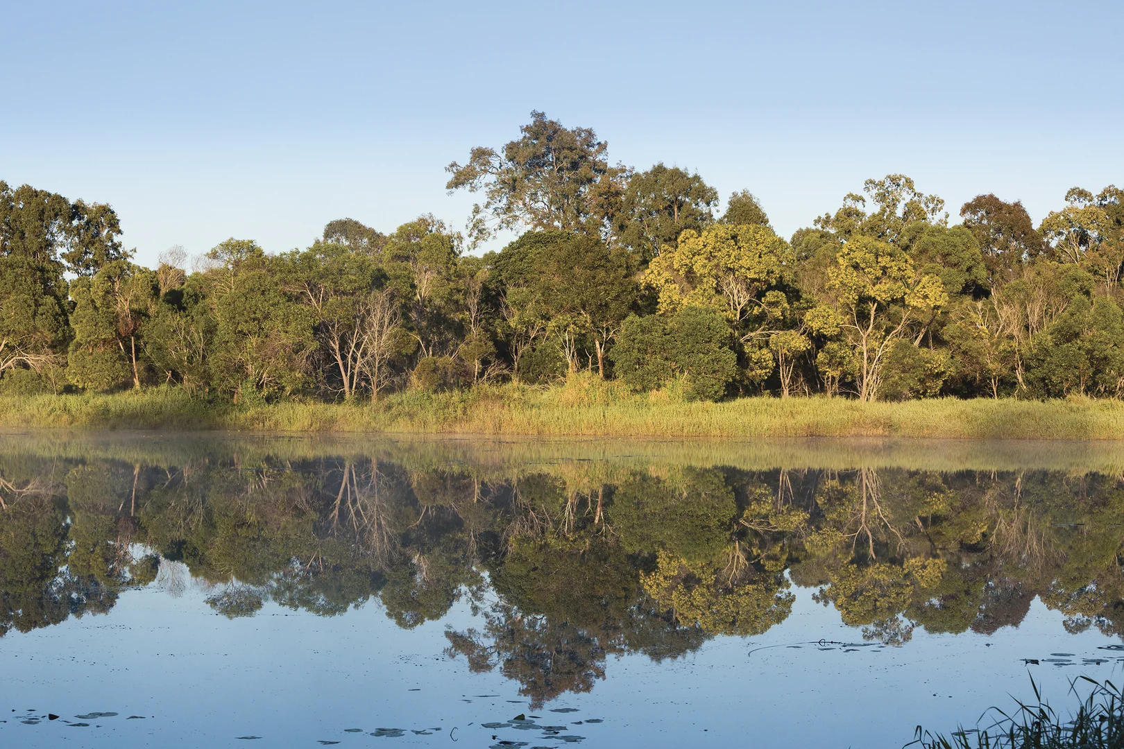 Additional image 5 of Paradise Lakes, Willawong QLD 4110