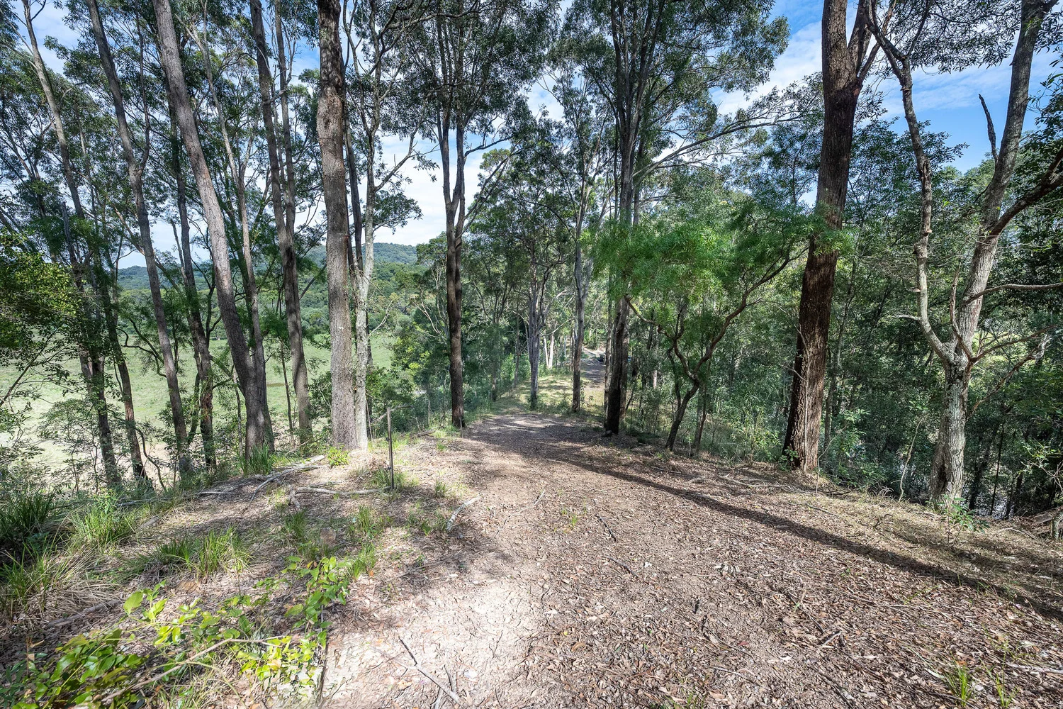 Additional image 3 of 38 Wooyung Road, Wooyung NSW 2483