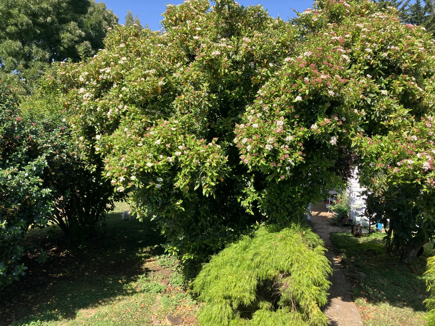 Additional image 19 of 729 Circular Road, Ridgley TAS 7321