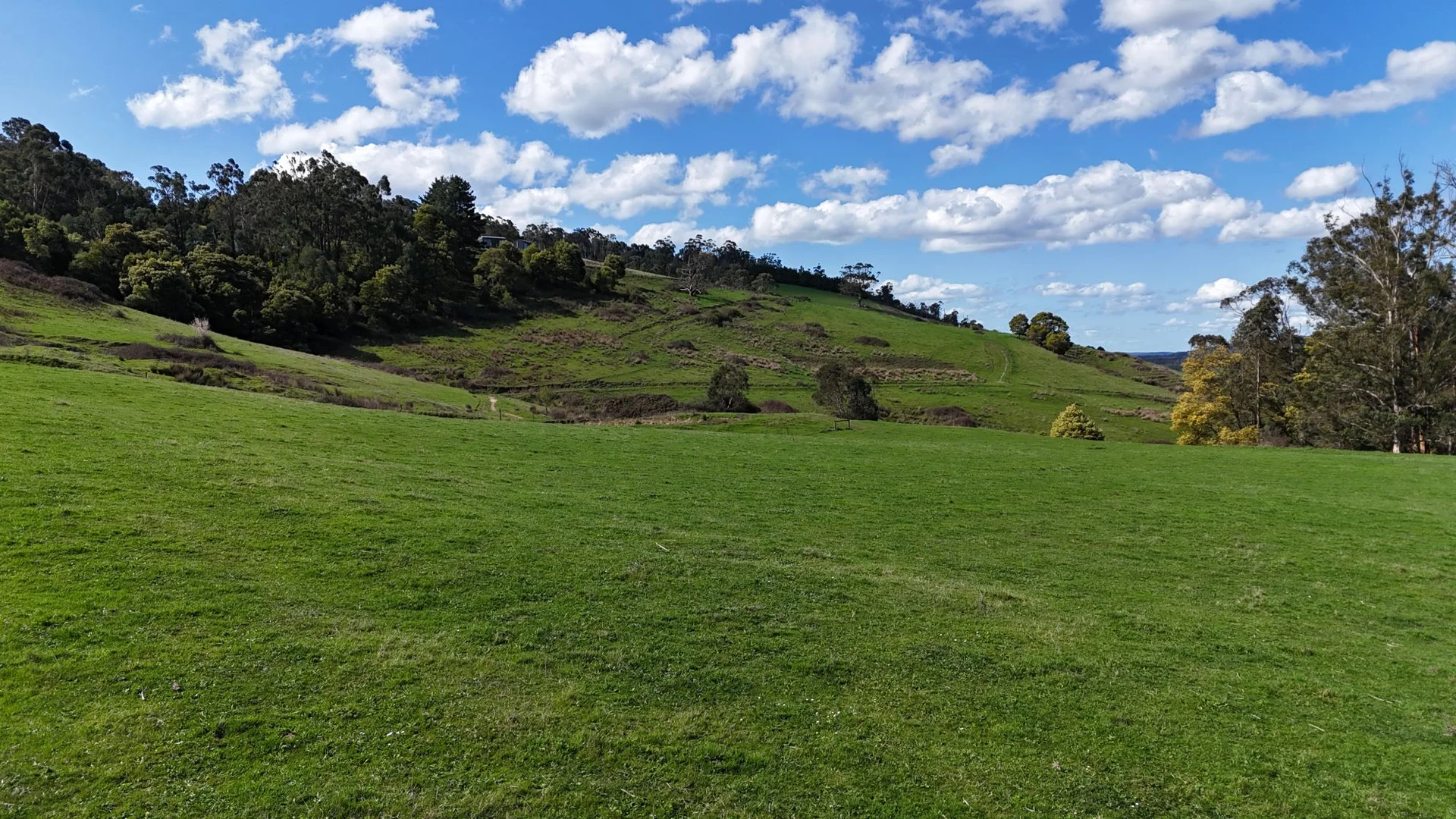 Additional image 6 of 141 BUNDERRA DRIVE, Boolarra VIC 3870