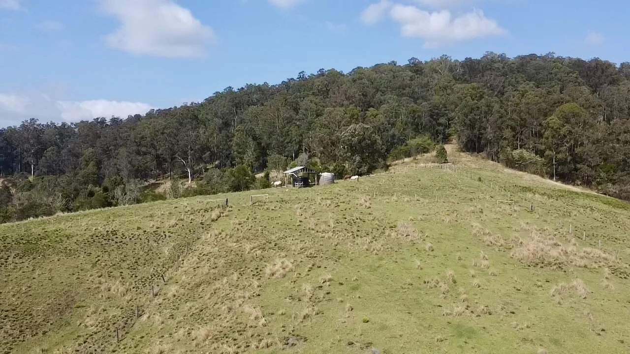 Additional image 11 of 362 Sharkeys Road, Frazers Creek NSW 2446