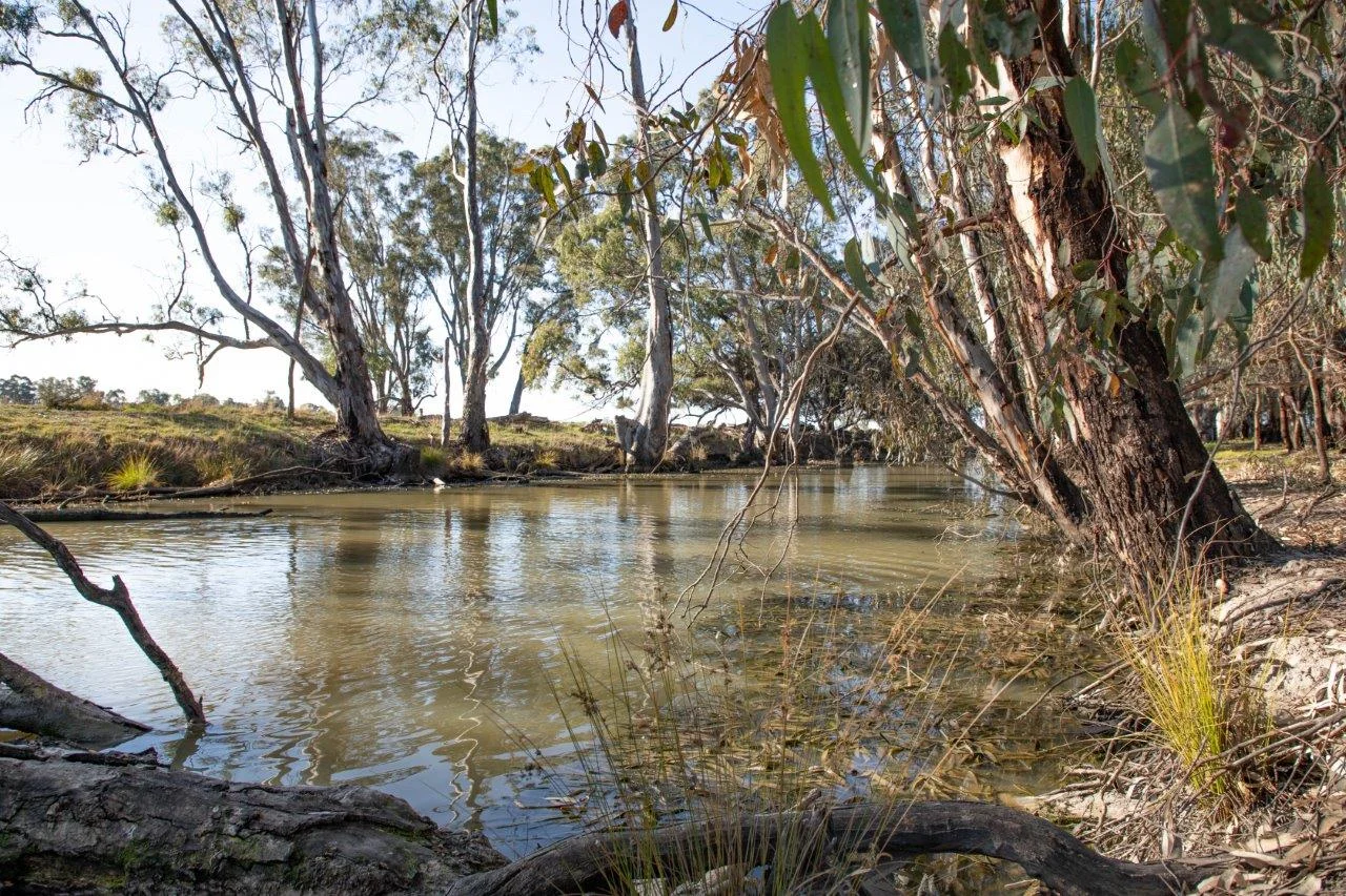 136 GLENVIEW ROAD, Barham NSW 2732