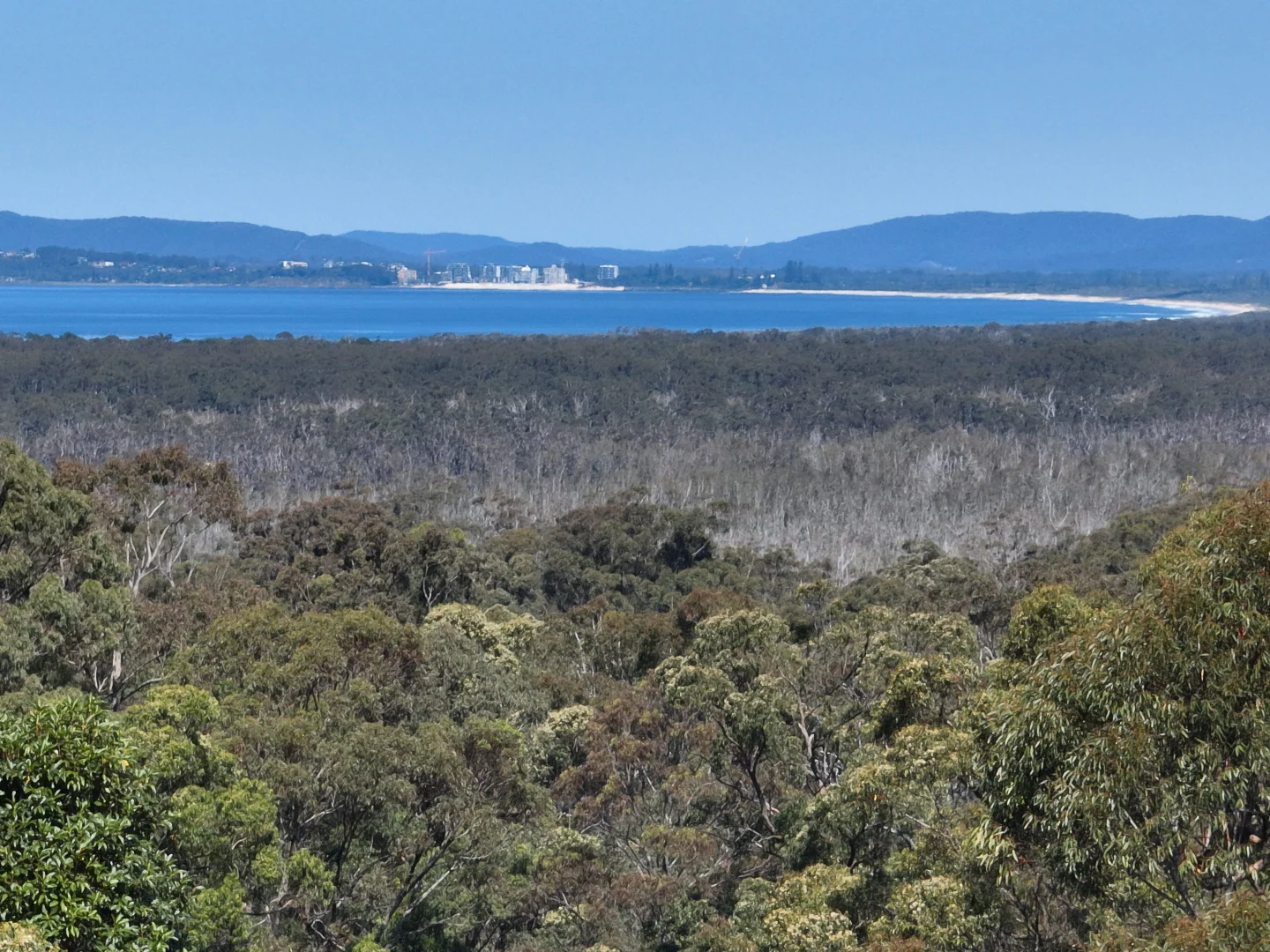 Additional image 3 of 23 Eastern Valley Way, Tallwoods Village NSW 2430