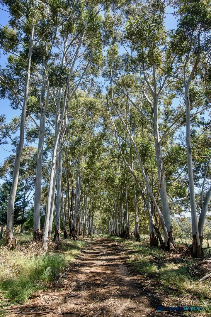 Additional image 3 of 197 Henderson Road, Kangaroo Gully WA 6255