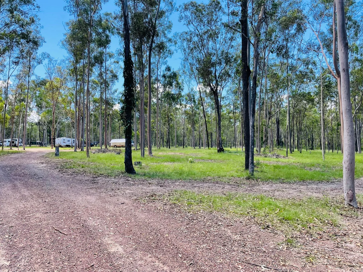 Additional image 20 of 264 Cooks Road, South Isis QLD 4660