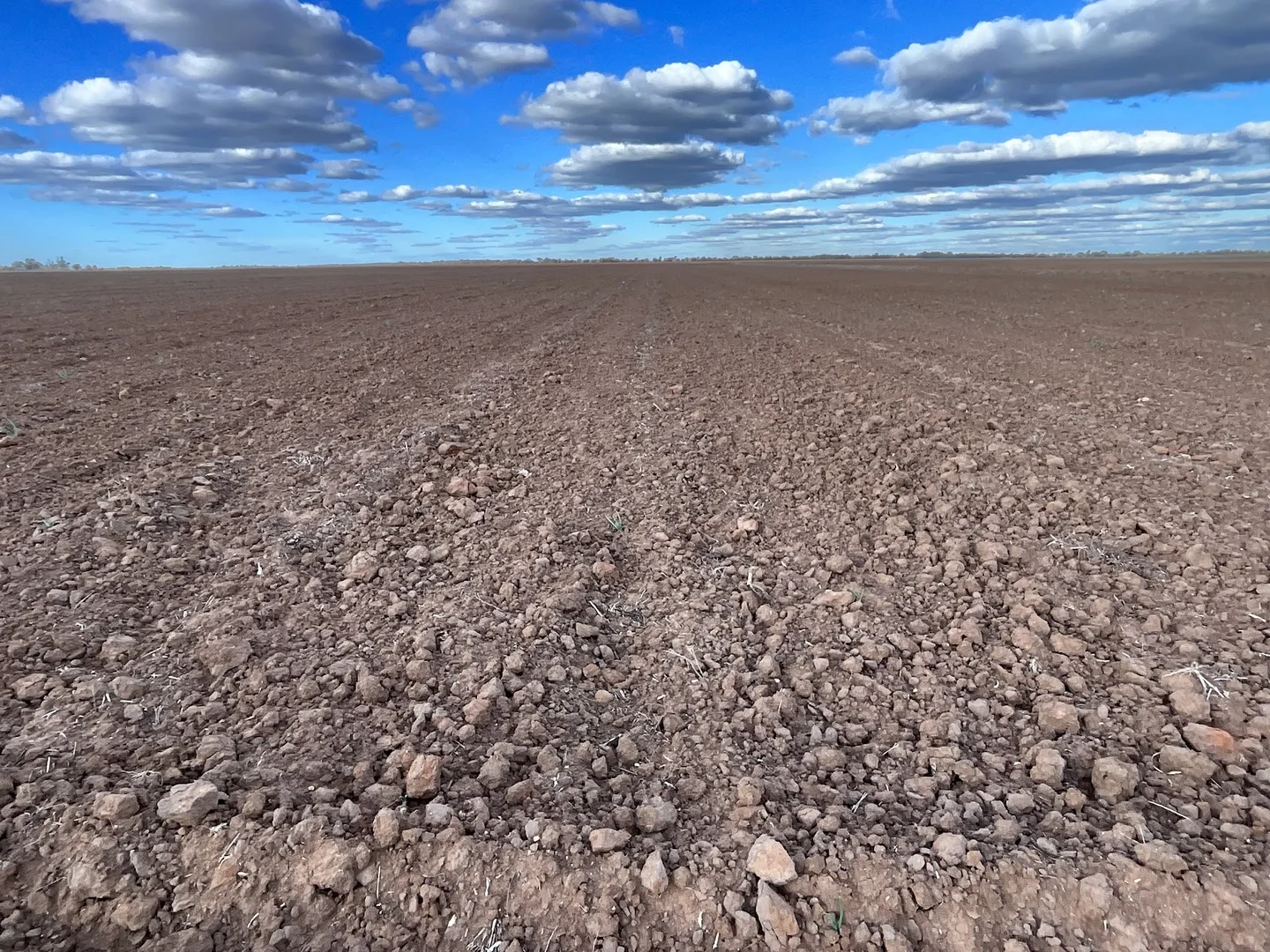 Additional image 14 of 73 Mirrool Branch Canal Road, Hanwood NSW 2680