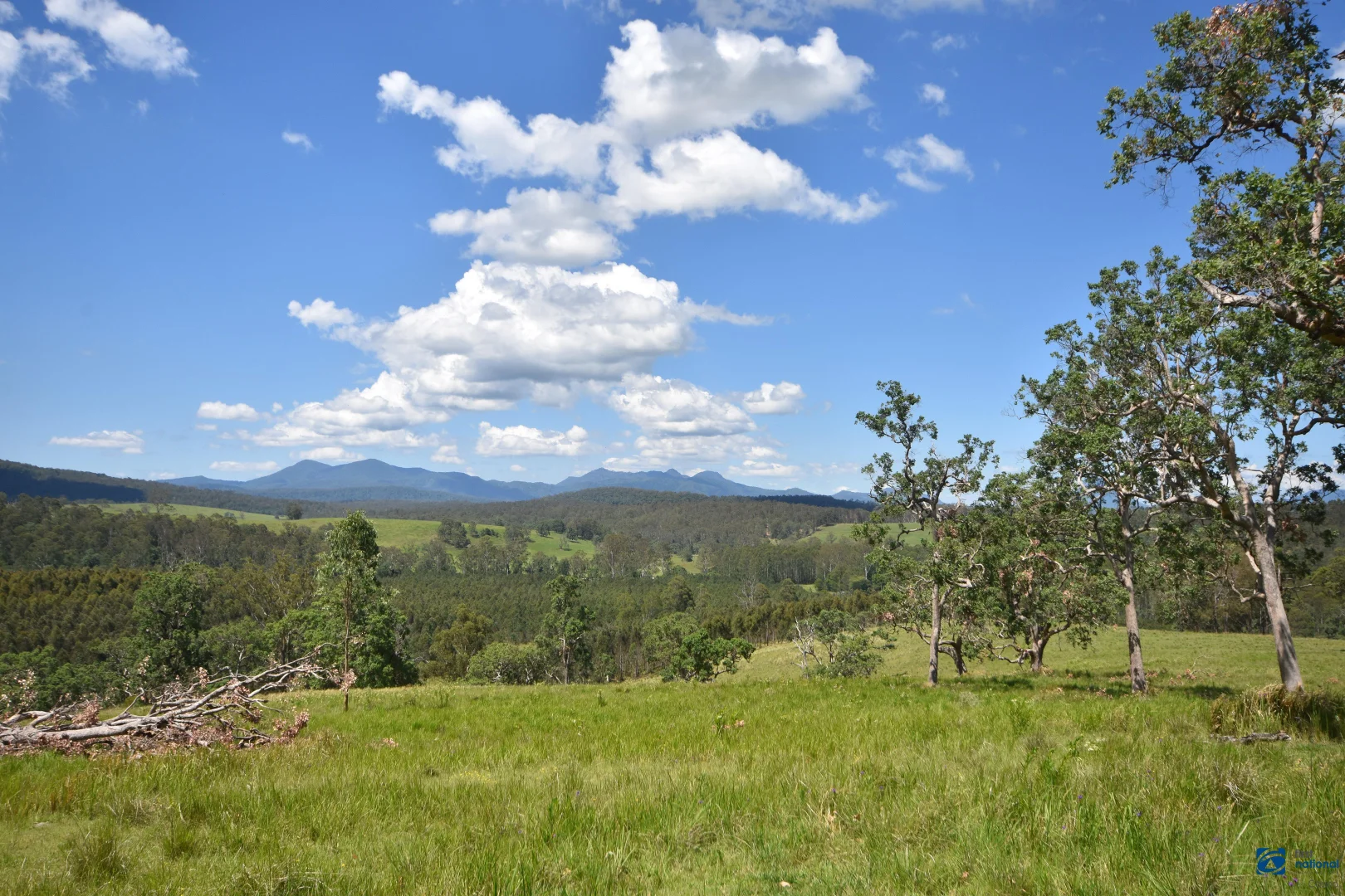 Additional image 49 of 1212 Beaury Creek Road, Urbenville NSW 2475