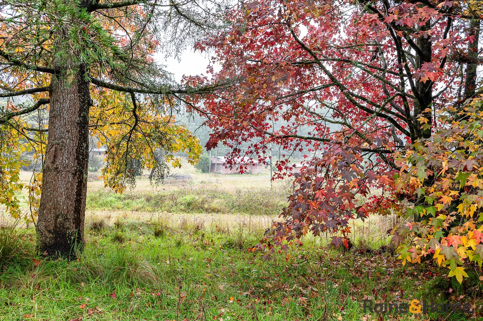 Additional image 9 of 4833 Brackendale Road, Nowendoc NSW 2354